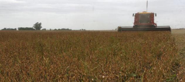 Se reactivó la cosecha en el centro-norte de Santa Fe tras las lluvias