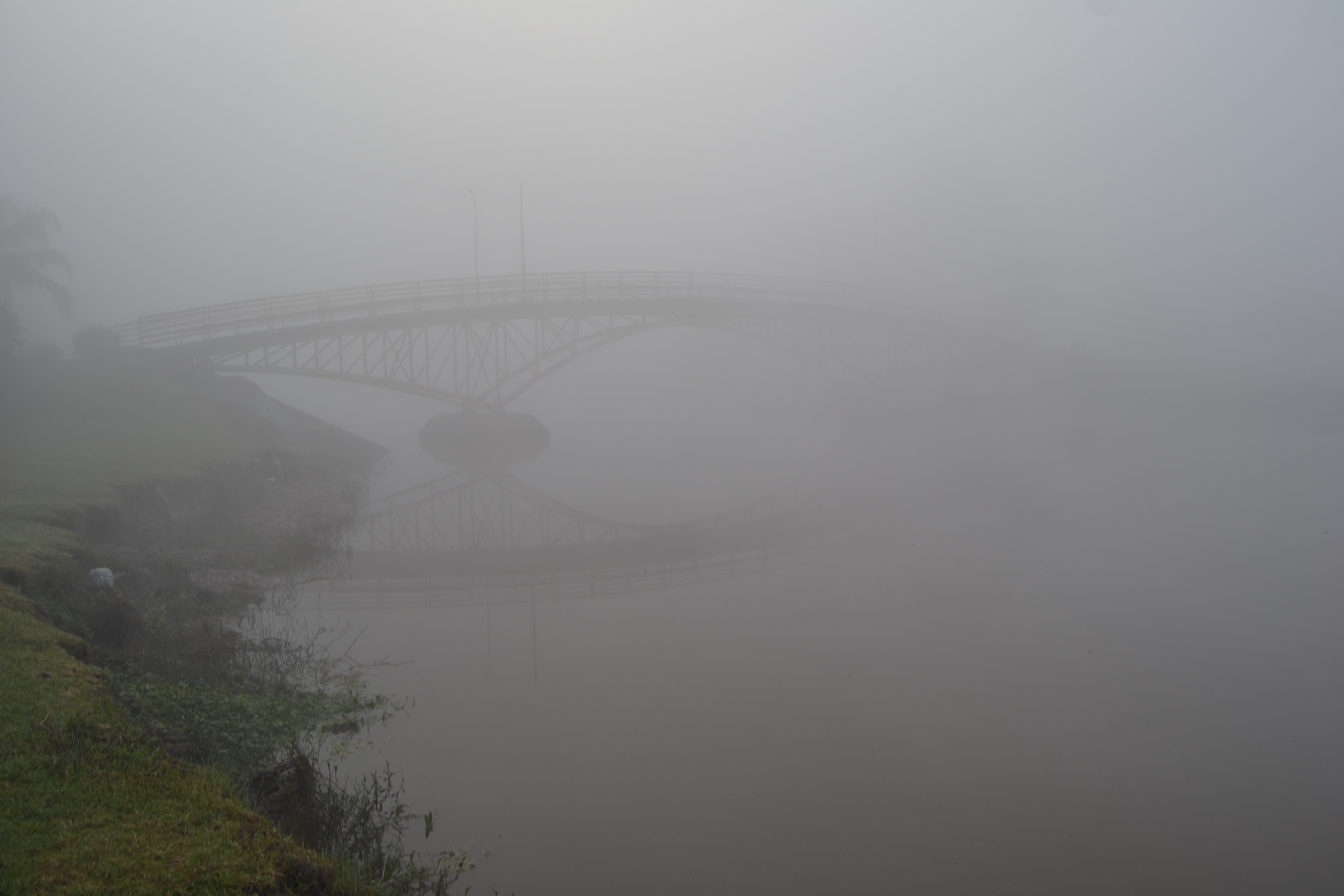 Alerta por niebla en Gualeguay: qué pasará con las temperaturas esta semana