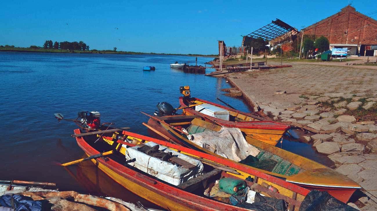 Gualeguay uno de los destinos elegidos para pescar en Entre Ríos