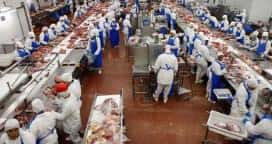 Consideran “escasa” la oferta europea para las exportaciones de carne
