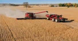 Se realiza un relevamiento nacional de cultivos de granos gruesos
