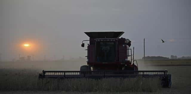 El informe del USDA debilita la recuperación de la soja a corto plazo

