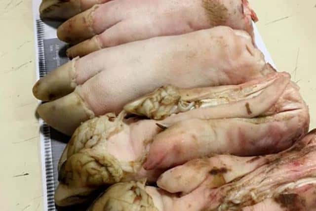 El Senasa decomisó patas de cerdo de ingreso prohibido en resguardo de la salud pública
