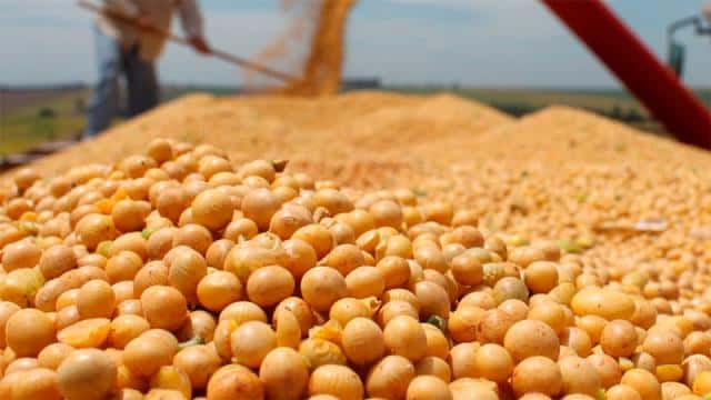 El mercado de granos con más actividad: La tonelada de soja está $13.000