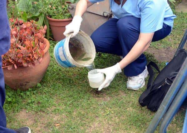 Ascienden a 97 los casos de dengue en Entre Ríos
