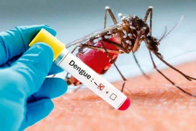 No nos olvidemos del dengue
