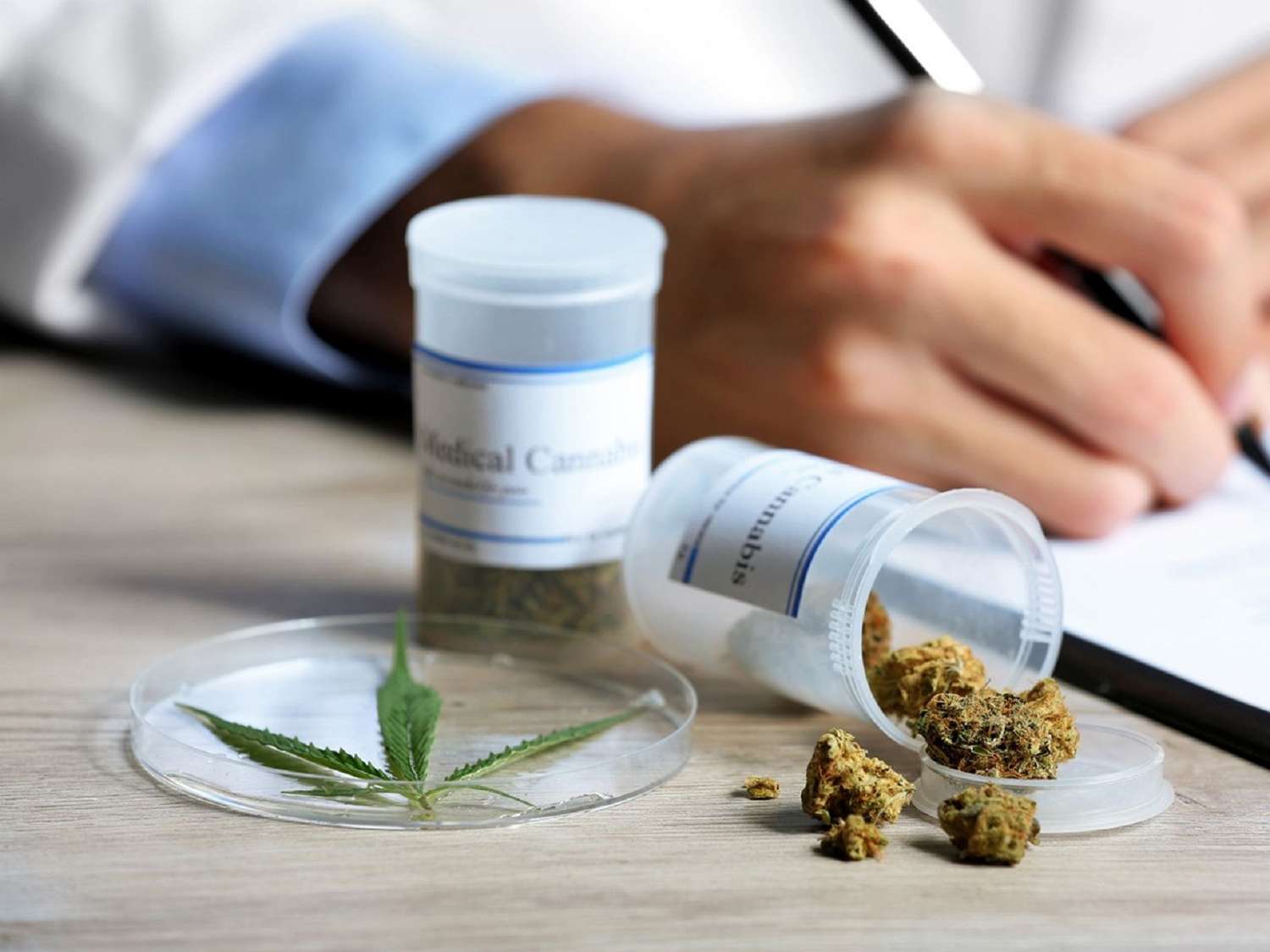Cannabis medicinal: diputados discuten un avance