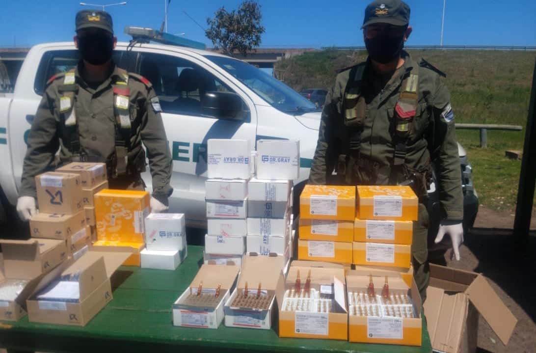 Gendarmería incautó gran cantidad de medicamentos