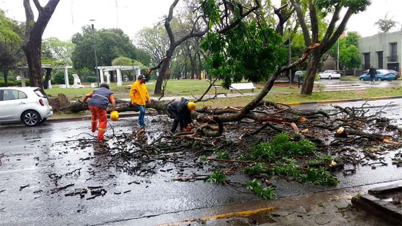 Asistieron a casi 80 familias de Paraná por la lluvia