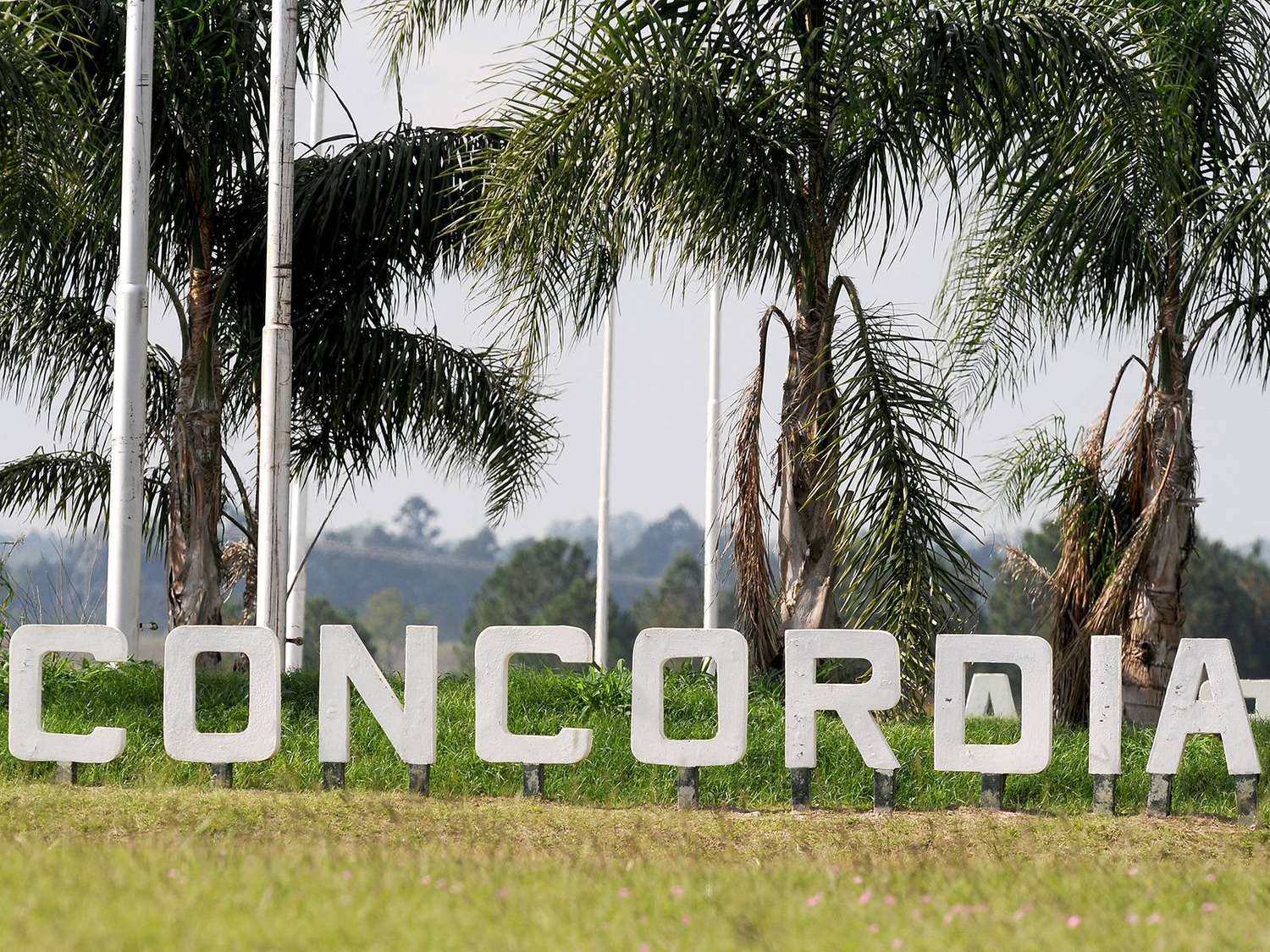 Concordia: ya rigen las nuevas medidas de flexibilización