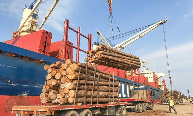 Argentina exportará por primera vez madera al mercado indio