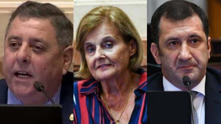 Aborto legal: así votaron los tres senadores entrerrianos