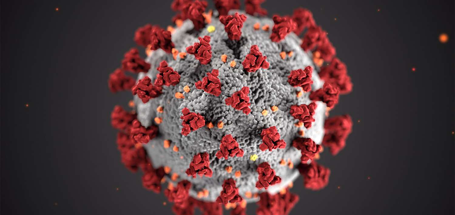 Coronavirus: ocho nuevos fallecimientos en la provincia