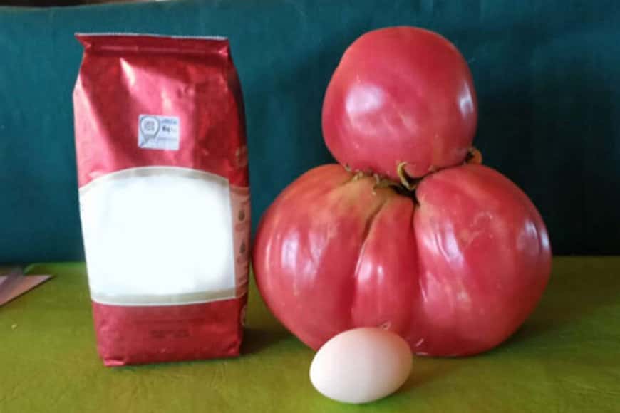 Productor se llevó una sorpresa al cosechar "súper" tomates