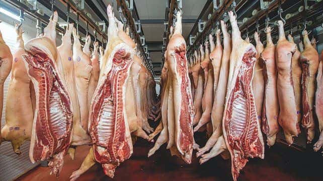 Carne de cerdo: creció la producción, exportación y demanda