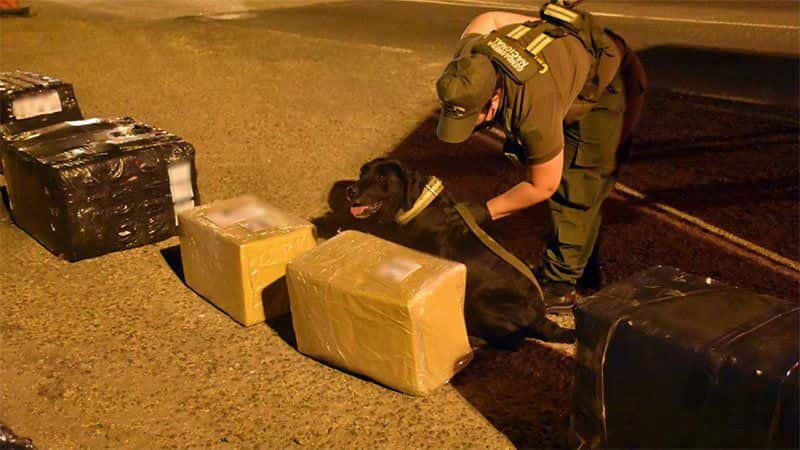 Encomienda descubiertacon 19 kilos de droga en Entre Ríos