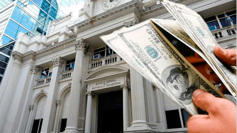 Dólar blue cerró el primer mes del año con una caída de $13