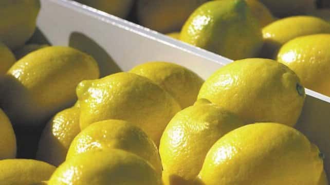 Limones: Senasa incautó 300 kilos sin documentación