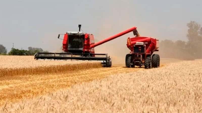 Agroexportaciones: prevén que 2024 será el tercer mejor año de la historia