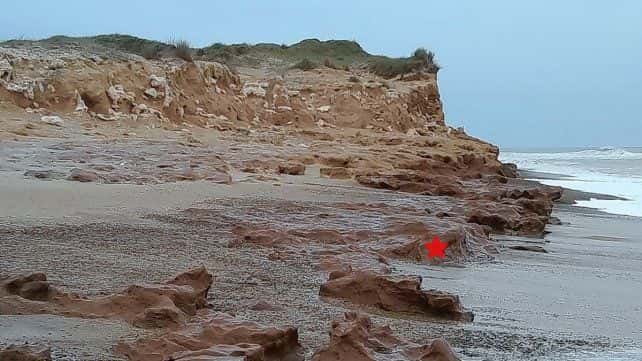 Científico gualeyo halló el megaterio más antiguo del país