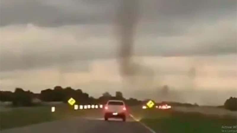 Video de impresionante "tornado" de mosquitos: