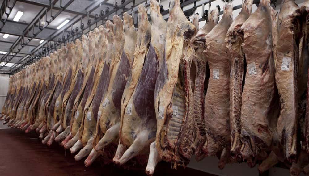 Carne: avanzan negociaciones para exportar a México