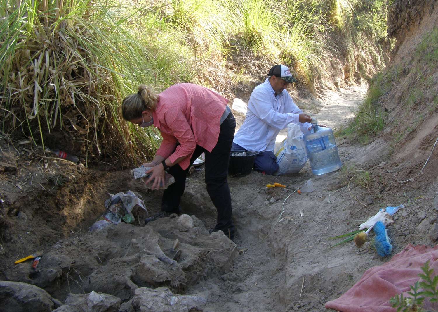 Arroyo Espinillo: el Museo Serrano rescató fósiles 