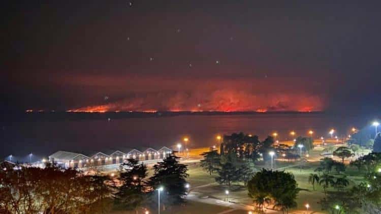 Delitos ambientales: ¿Qué hay detrás de los incendios en las áreas protegidas?