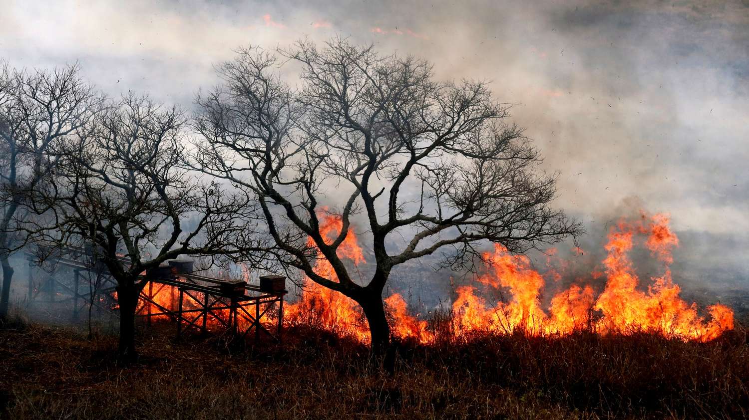 Hay novedades en la causa por los incendios en las islas del Paraná