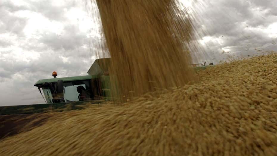 Recortan estimación de cosecha de soja a 43 millones de toneladas