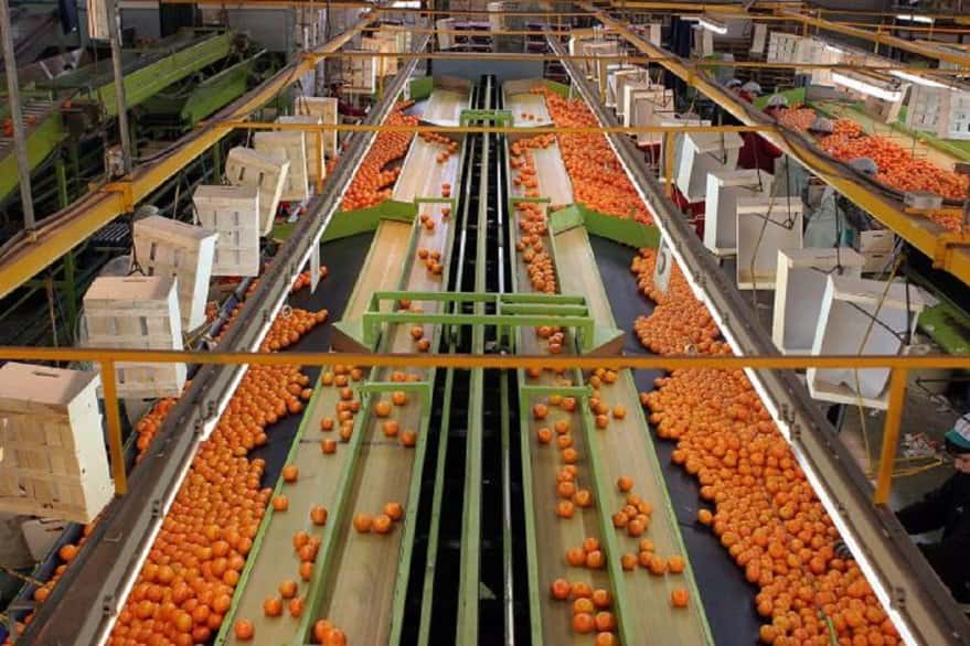 Referentes de la producción citrícola destacaron la apertura de la exportación a Vietnam