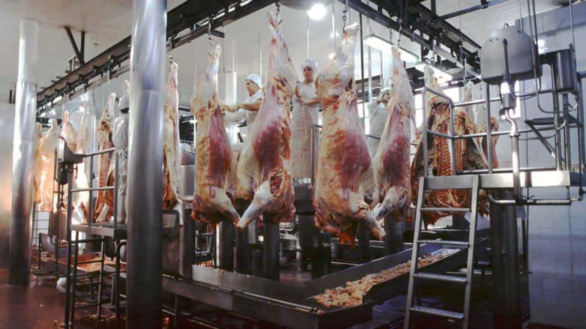 Carne: nuevo régimen de troceo pondrá fin a la media res