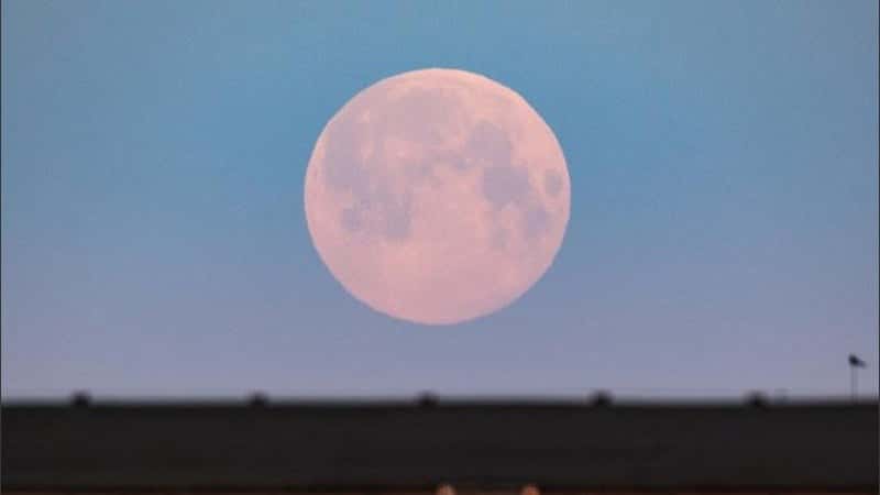Esta noche se podrá ver la primera super luna rosa del año
