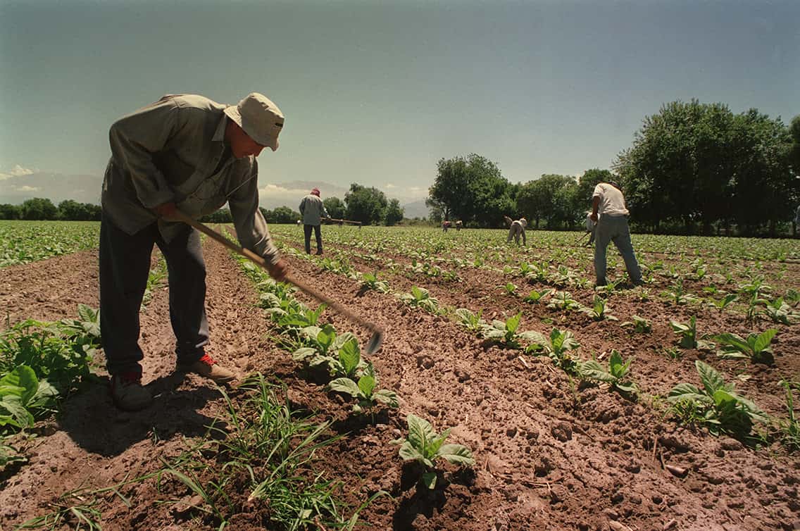 El RENATRE prorrogó el Plan de Facilidades de Pago para empleadores rurales hasta el 30 de junio