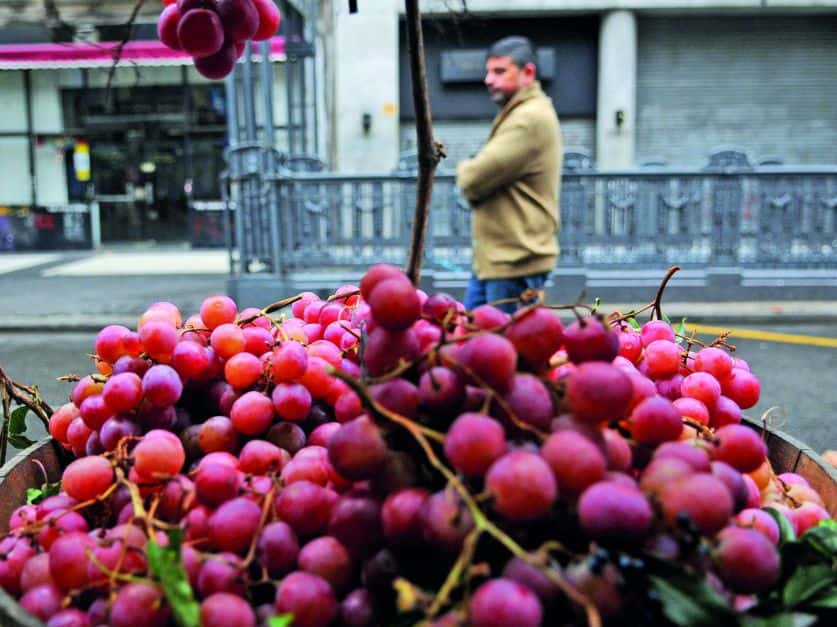 Buenas noticias llegan desde Brasil para las uvas argentinas