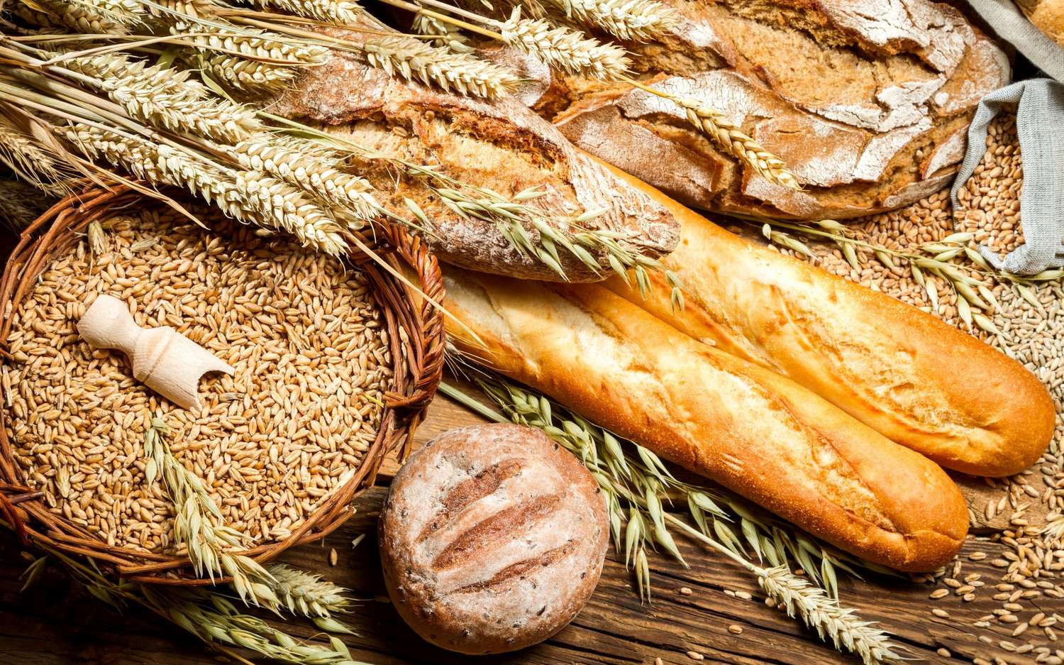 Economia: ¿Pan y circo o pan y trigo?
