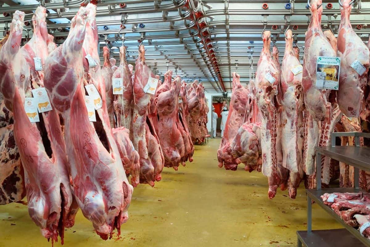 Matarifes advierten que los precios de la carne seguirán en suba