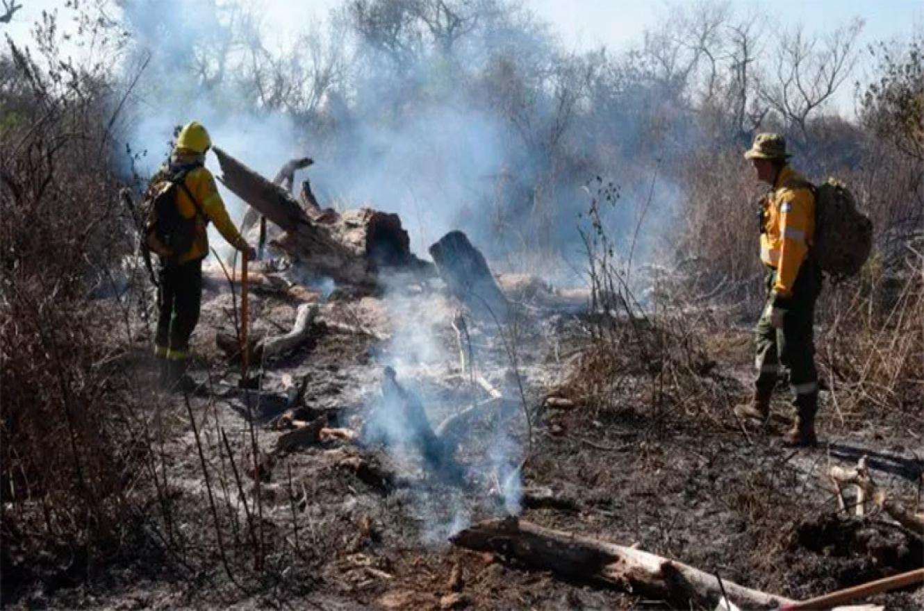 Detectaron tres focos de incendios forestales en Victoria y Gualeguay en las últimas horas