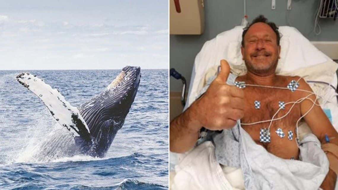 Un pescador sobrevive tras ser tragado por una ballena