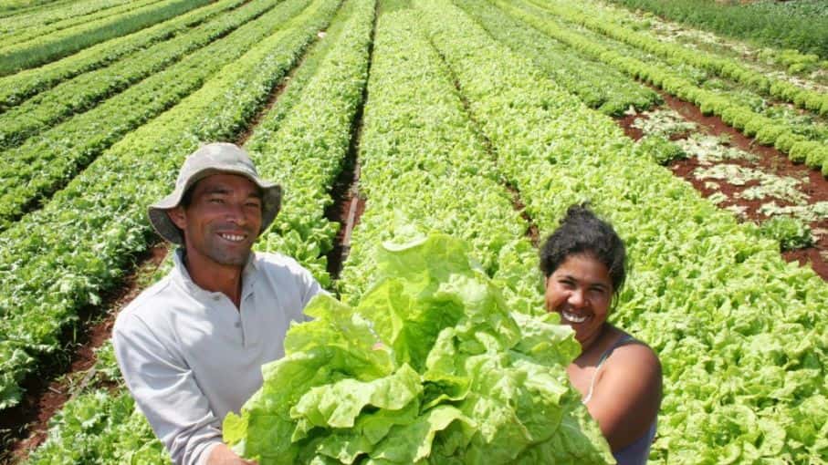 San Luis: reclaman ley provincial que articule la protección a la Agricultura Familiar