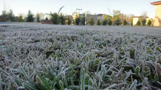 Sur Entrerriano: se esperan heladas y temperaturas bajo cero