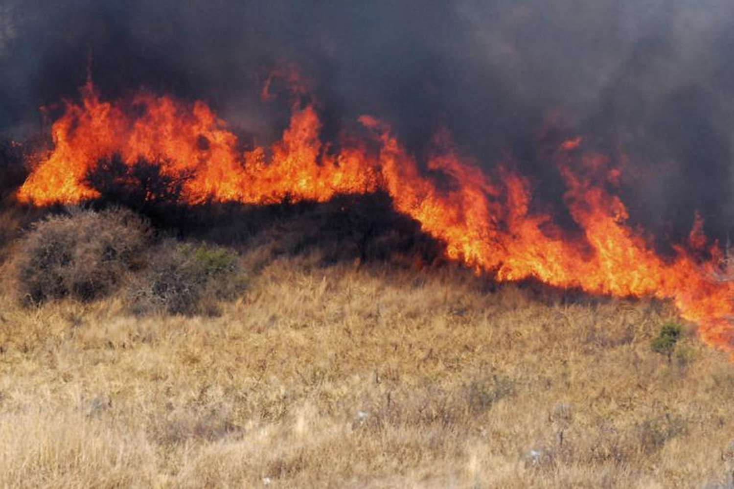Entre Ríos y San Luis registran focos activos de incendios