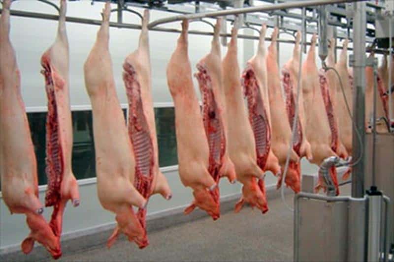 Balanza comercial positiva para las exportaciones de carne de cerdo