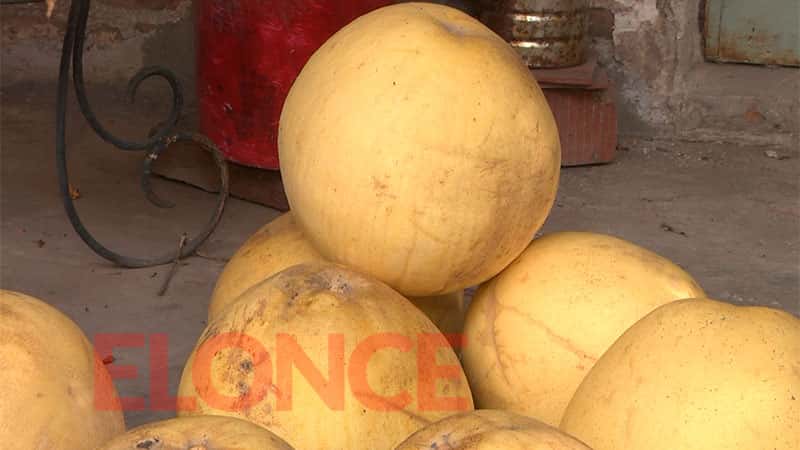 Paranaense cosechó pomelos gigantes: algunos pesaron más de cuatro kilos