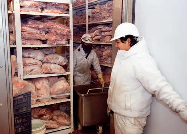 Se frenan las exportaciones de cerdos a China