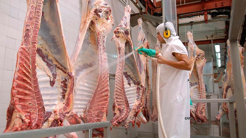 Cadena cárnica entrerriana pidió la normalización de las exportaciones de carne