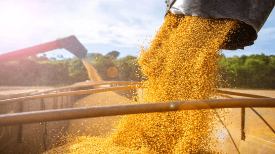 AFIP desarticuló millonaria maniobra de evasión fiscal de cerealeras en Entre Ríos