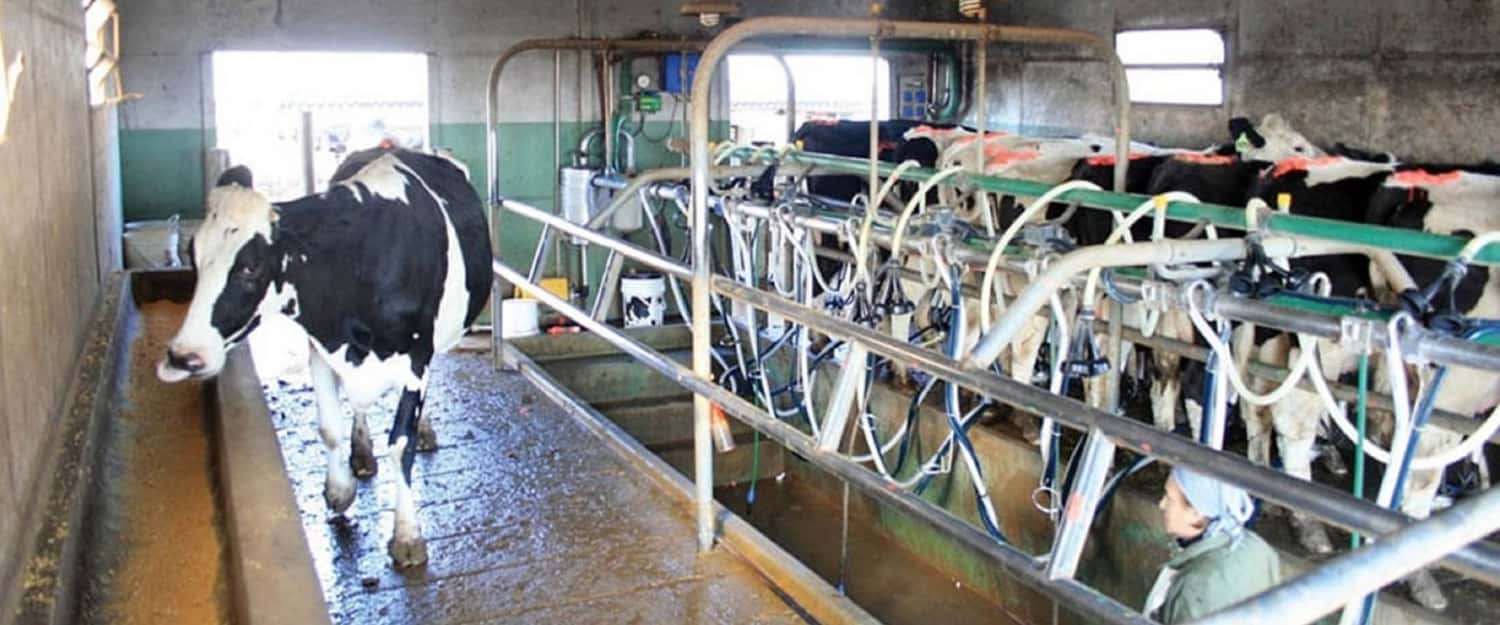 La provincia presentó una nueva línea de créditos para el sector lácteo