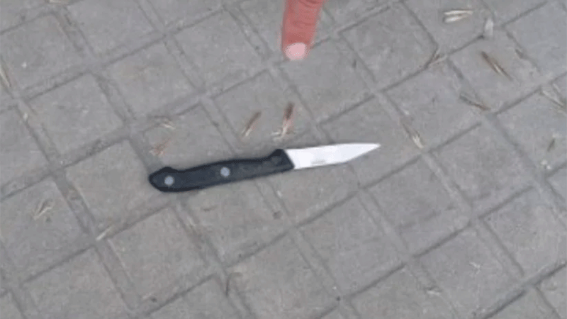 Demoraron a una mujer que esperaba al presidente en La Plata y tenía un cuchillo