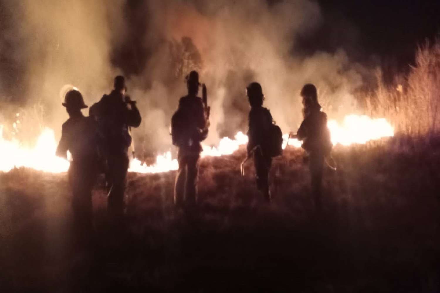 Brigadistas sofocaron incendios en la zona de Ibicuy